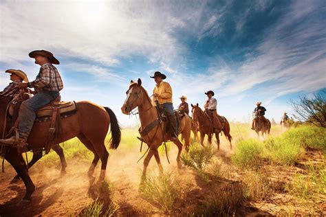 Texas cowboys - Feb 13, 2017 · The cowboy lifestyle came into its own in Texas, which had been cattle country since it was colonized by Spain in the 1500s. But cattle farming did not become the bountiful economic and cultural ... 